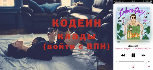 apvp Няндома