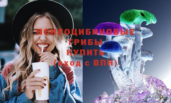 мдпв Карабаново