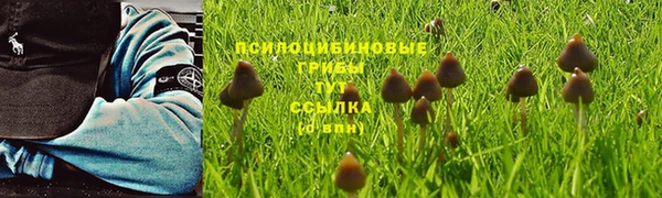 apvp Няндома