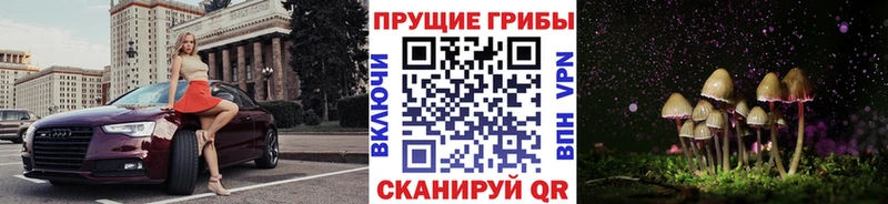 Псилоцибиновые грибы Psilocybine cubensis  KRAKEN вход  Рославль 