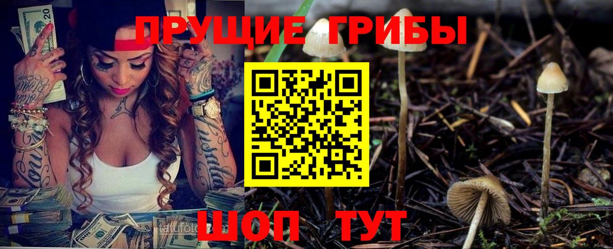Псилоцибиновые грибы Cubensis Рославль