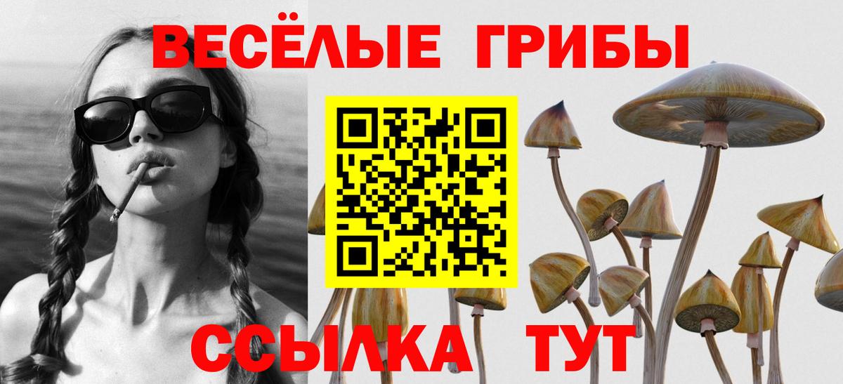 Рославль  Галлюциногенные грибы ЛСД  Вход с VPN 